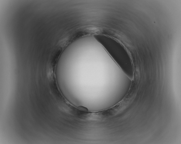 X0000111940320200907271019