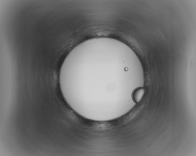 X0000111940321200907271019