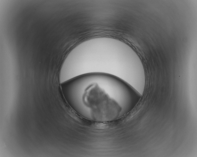 X0000111940325200907271019