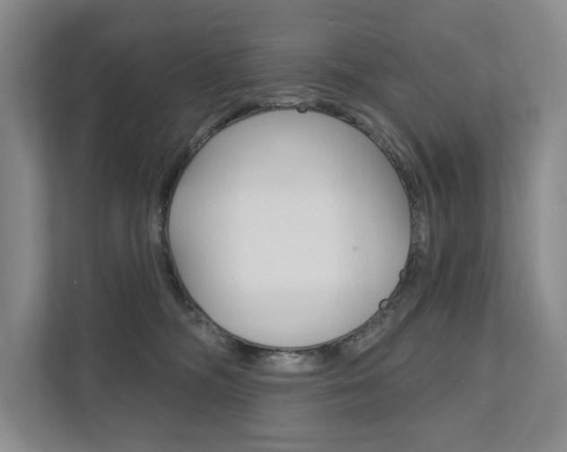 X0000111940326200907271019