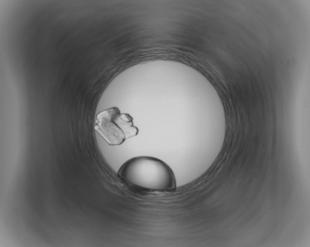 X0000111940328200907271019
