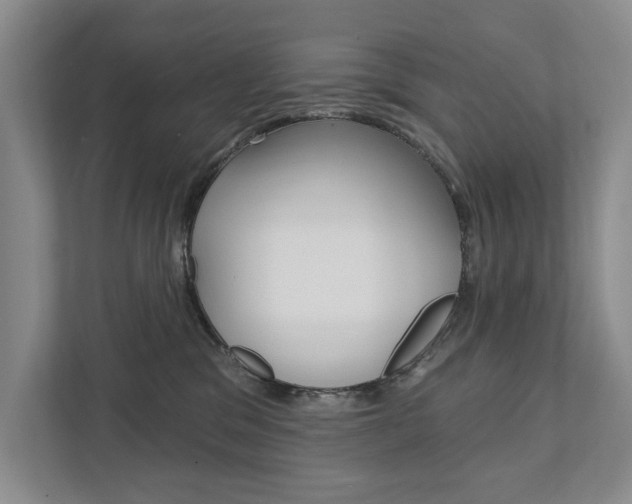 X0000111940329200907271019
