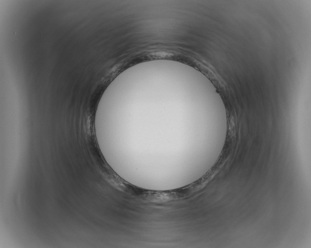 X0000111940330200907271019