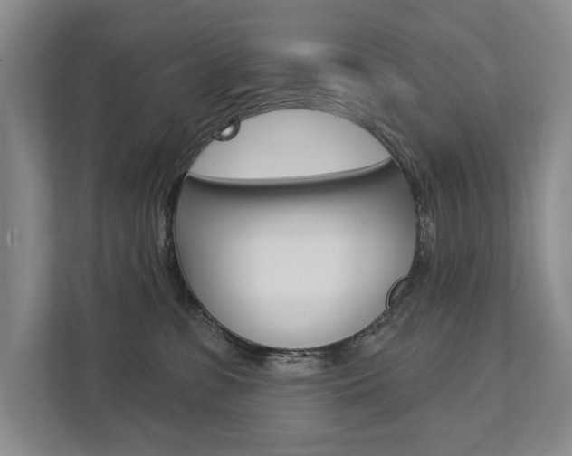 X0000111940331200907271019