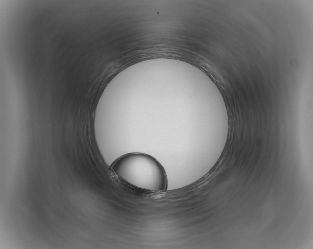 X0000111940333200907271019