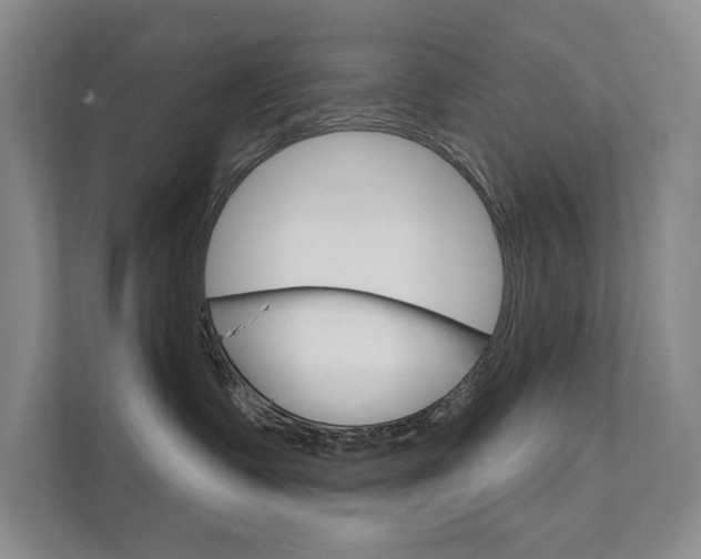 X0000111940335200907271019