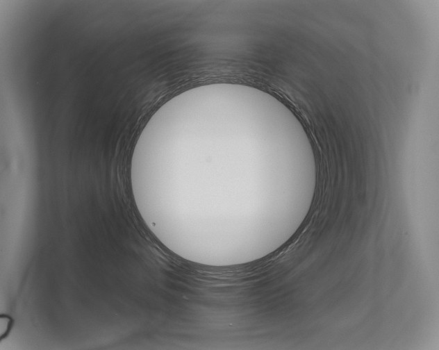 X0000111940336200907271019