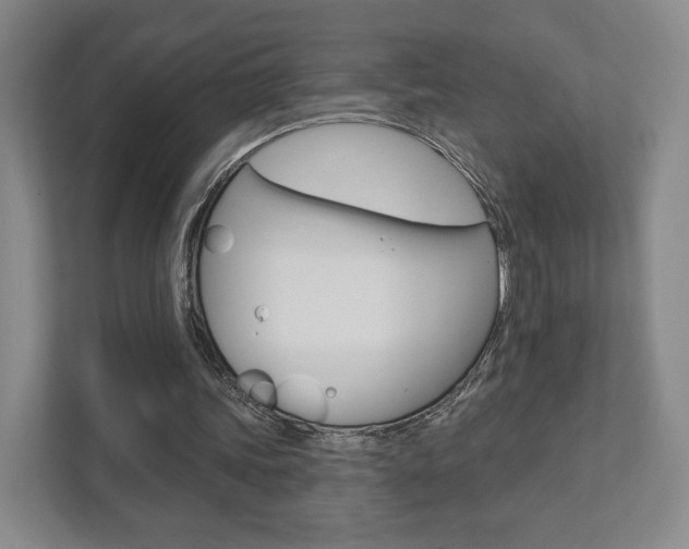 X0000111940339200907271018