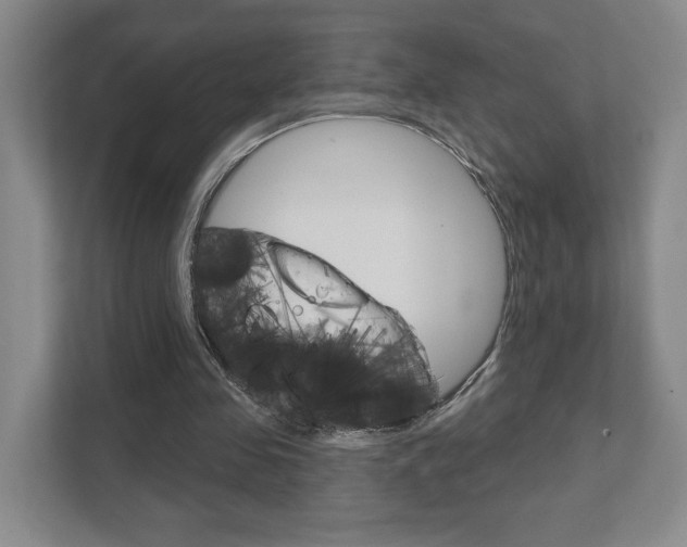 X0000111940341200907271019