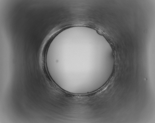 X0000111940343200907271019