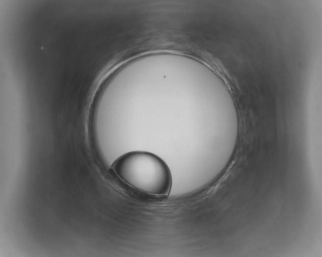 X0000111940344200907271019