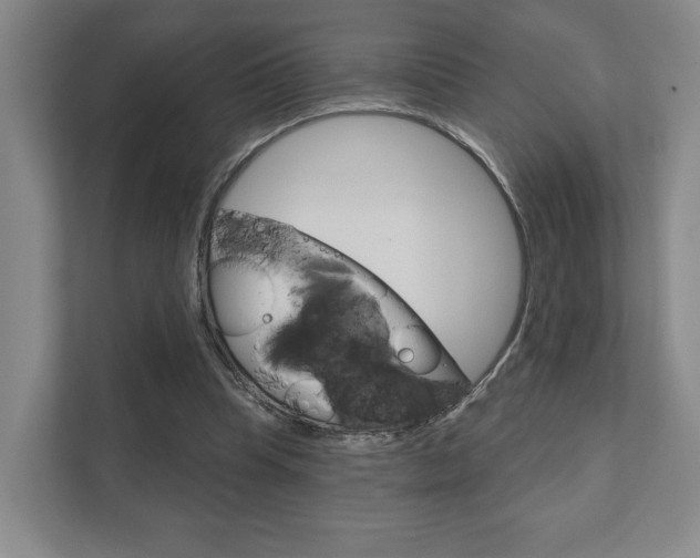 X0000111940345200907271019