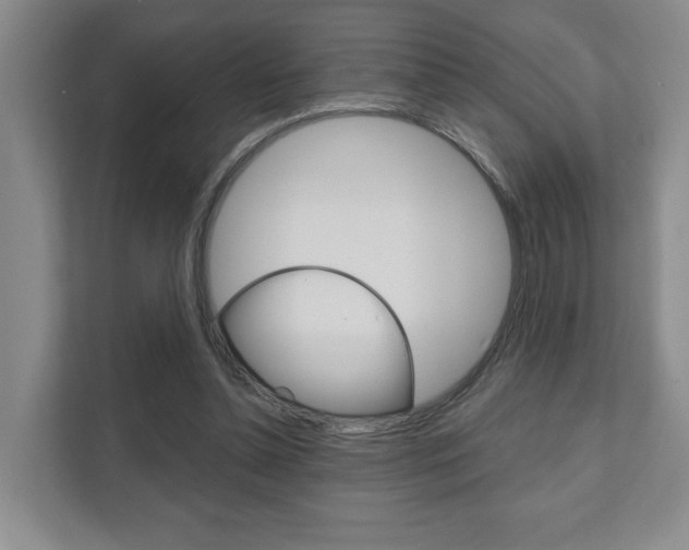 X0000111940348200907271019