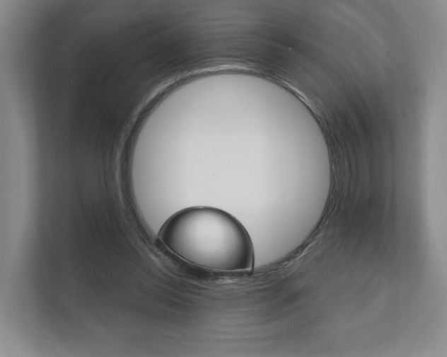 X0000111940350200907271019