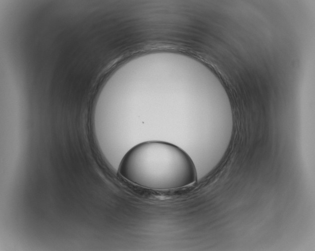 X0000111940352200907271019