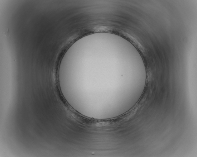X0000111940353200907271019