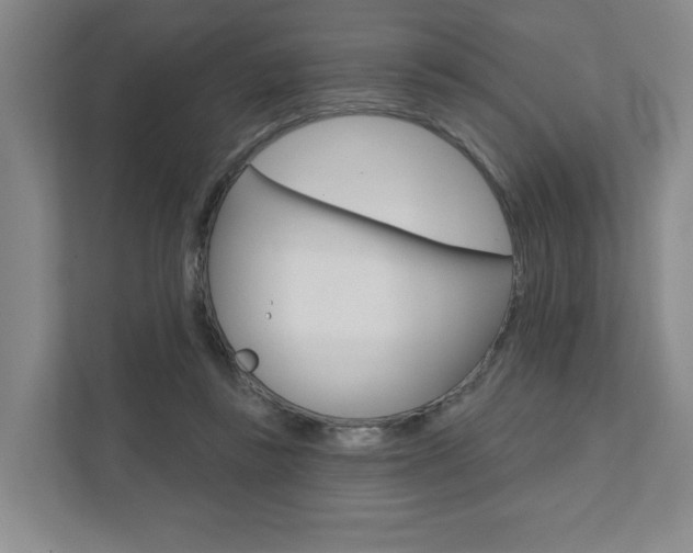 X0000111940355200907271019