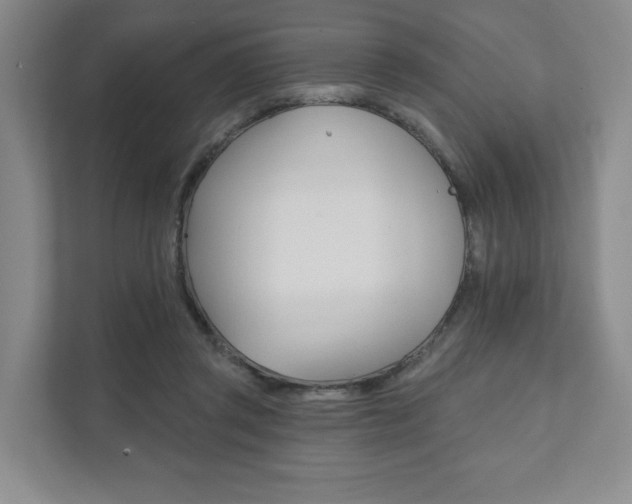 X0000111940357200907271019