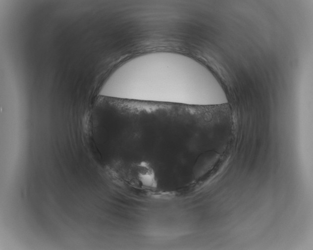 X0000111940359200907271019