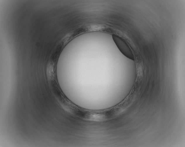 X0000111940360200907271019