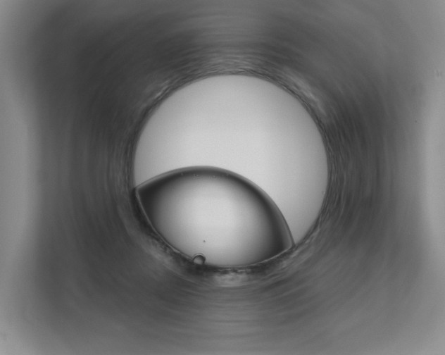 X0000111940362200907271019