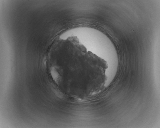 X0000111940363200907271019