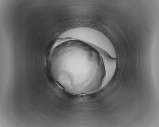 X0000111940368200907271019