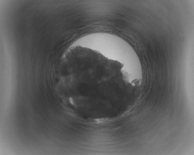 X0000111940371200907271019