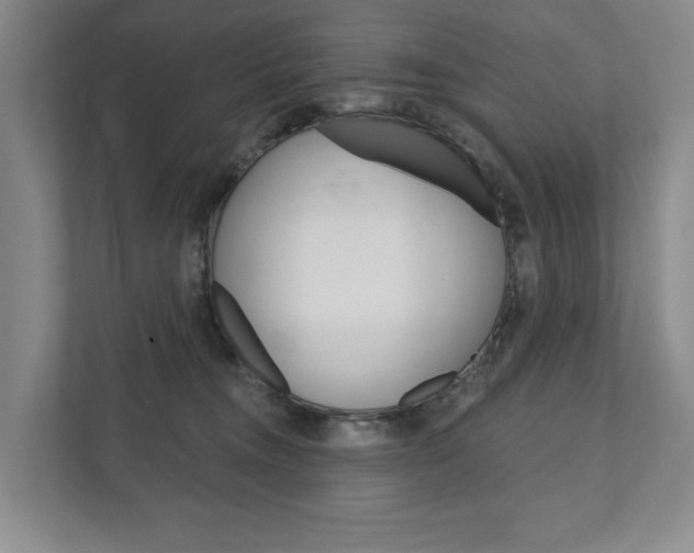 X0000111940372200907271019