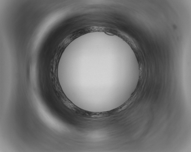 X0000111940381200907271019