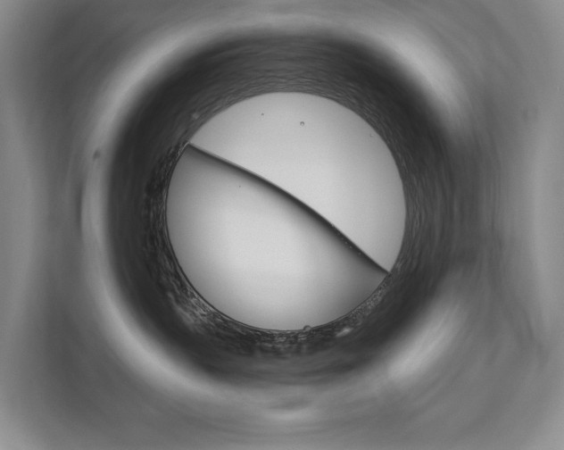 X0000111940383200907271019