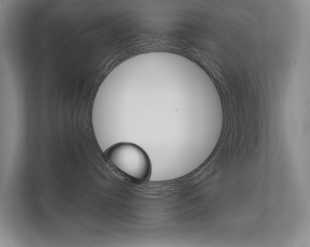 X0000111940384200907271019