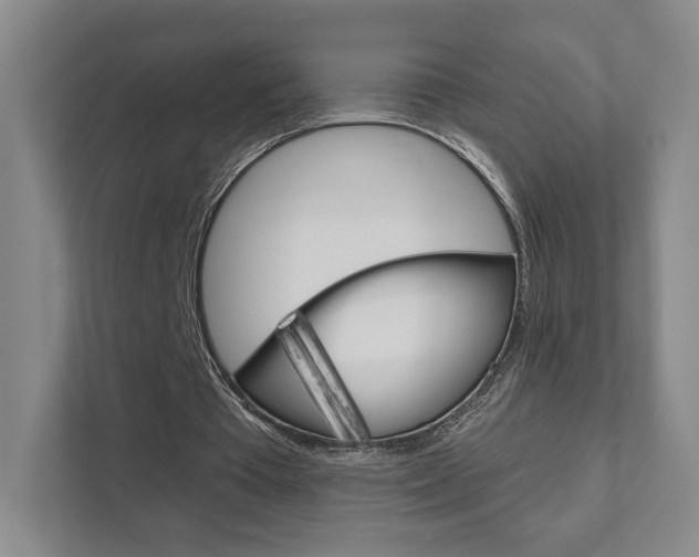 X0000111940385200907271018