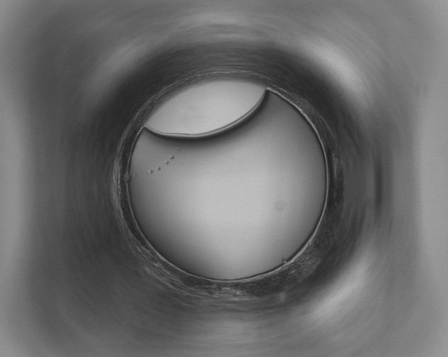 X0000111940387200907271018