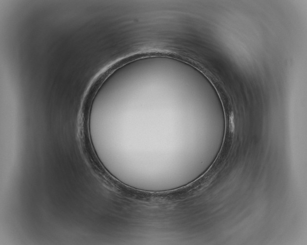 X0000111940388200907271018