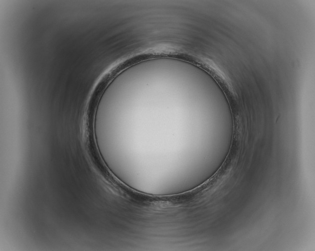X0000111940392200907271018