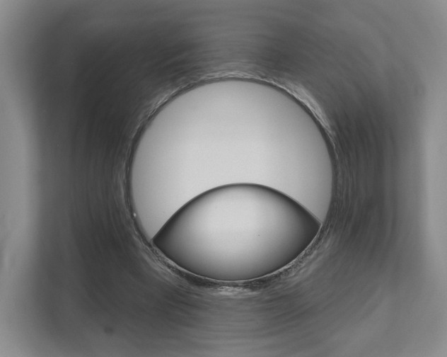 X0000111940393200907271018