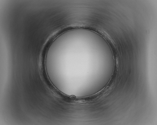 X0000111940396200907271018