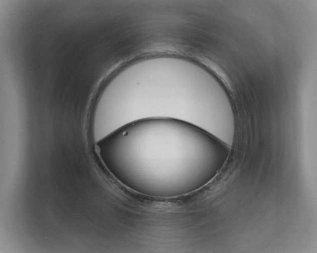 X0000111940399200907271018