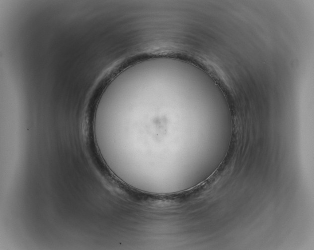 X0000111940400200907271018