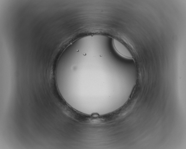 X0000111940407200907271018