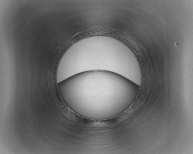 X0000111940413200907271018