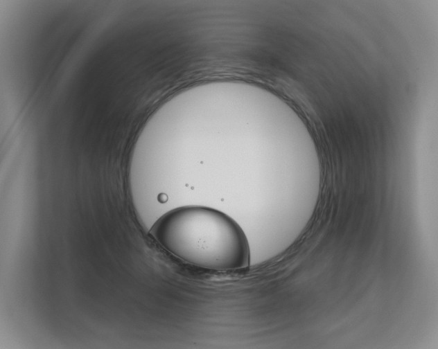 X0000111940415200907271018