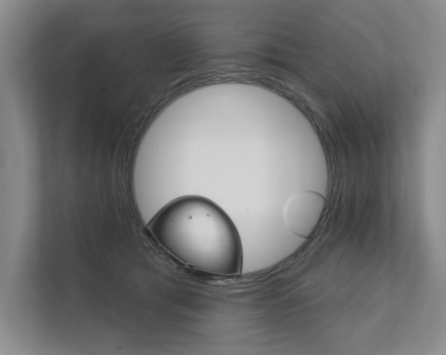 X0000111940417200907271018