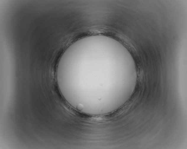 X0000111940418200907271018