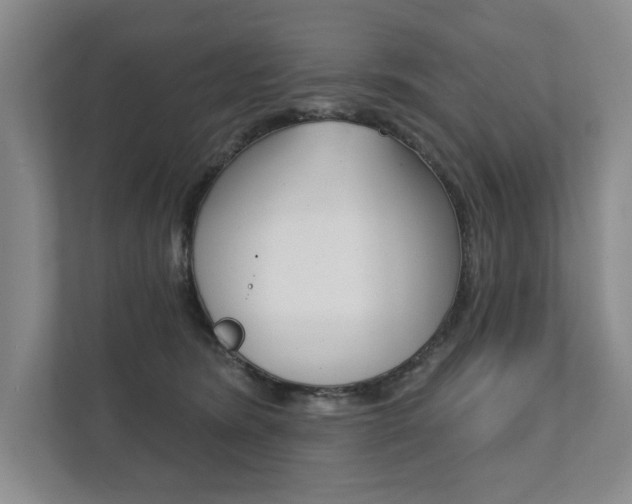 X0000111940420200907271018