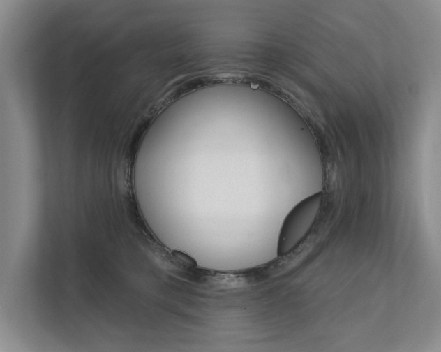 X0000111940421200907271018