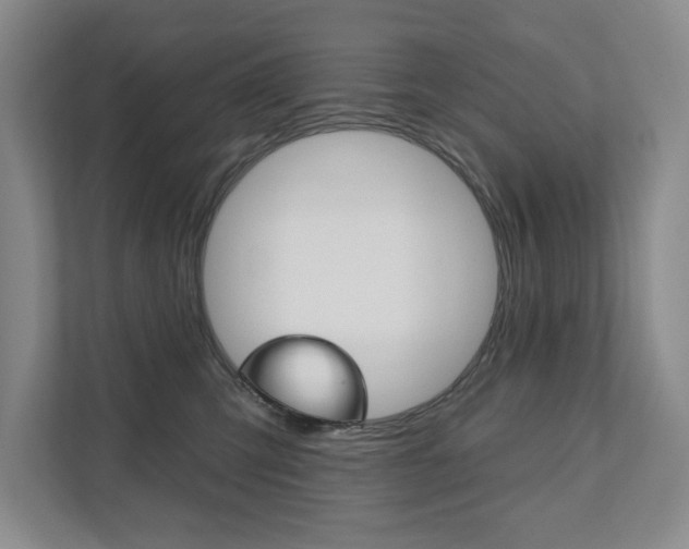 X0000111940423200907271018