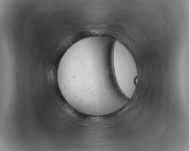 X0000111940424200907271018