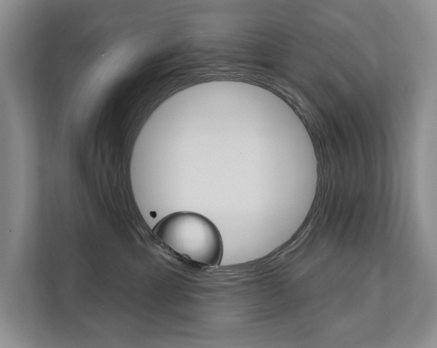 X0000111940429200907271018